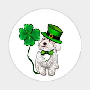 Funny Cavapoo puppy dog in hat and tie fancy dress with Clover Shamrocks - green 4 leaf clovers shamrock. Shenanigans The best Irish gift ideas 2024 Magnet